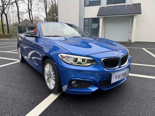 BMW 2 Series Imported 2015 модификация 220i Convertible Coupe Leading – фото 3