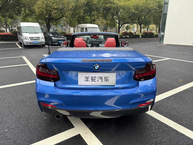 BMW 2 Series Imported 2015 модификация 220i Convertible Coupe Leading – фото 5