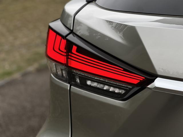 Lexus RX 2021 300 4WD F Sport – фото 15