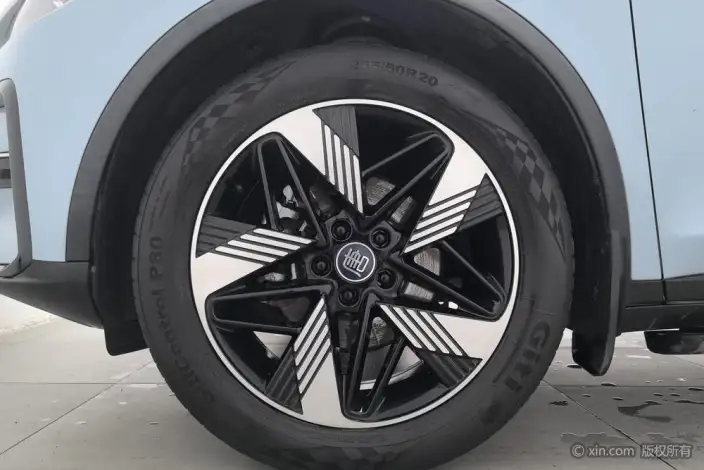BYD Tang DM 2023 Model DM-i Champion Edition 112KM Exclusive Model – фото 10