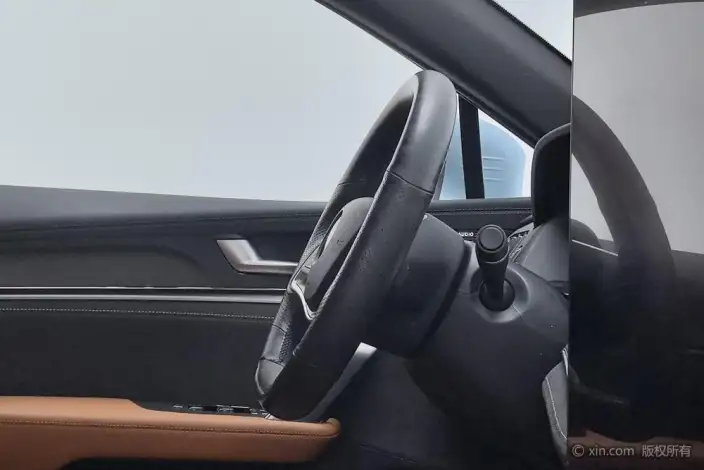 BYD Tang DM 2023 Model DM-i Champion Edition 112KM Exclusive Model – фото 12
