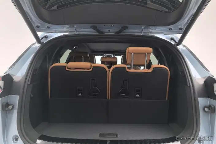 BYD Tang DM 2023 Model DM-i Champion Edition 112KM Exclusive Model – фото 23