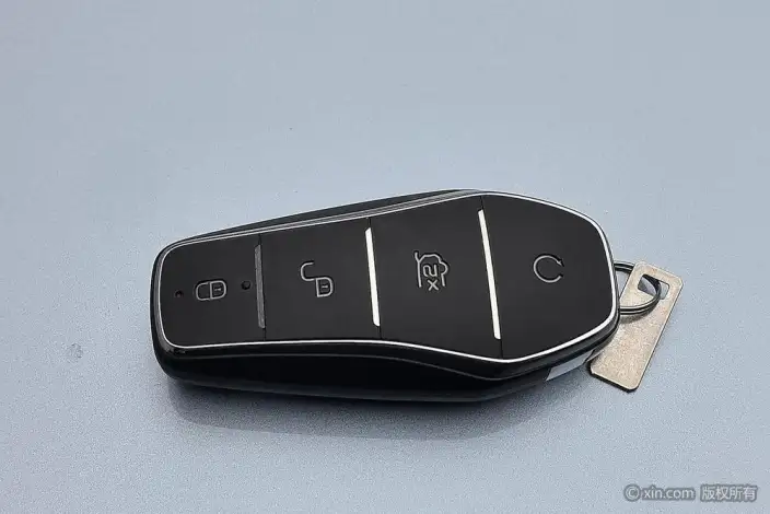 BYD Tang DM 2023 Model DM-i Champion Edition 112KM Exclusive Model – фото 30