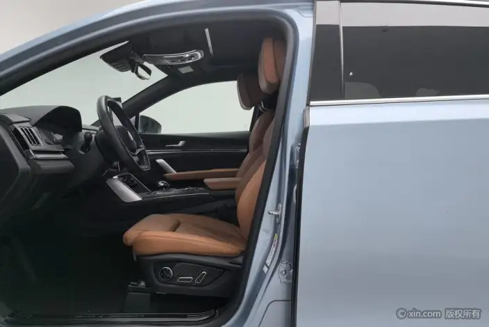 BYD Tang DM 2023 Model DM-i Champion Edition 112KM Exclusive Model – фото 41