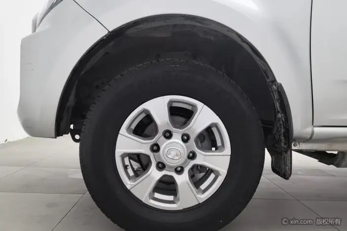 Wingle 7 2021 Model 2.0T Diesel 2WD Value Edition Big double GW4D20M – фото 12