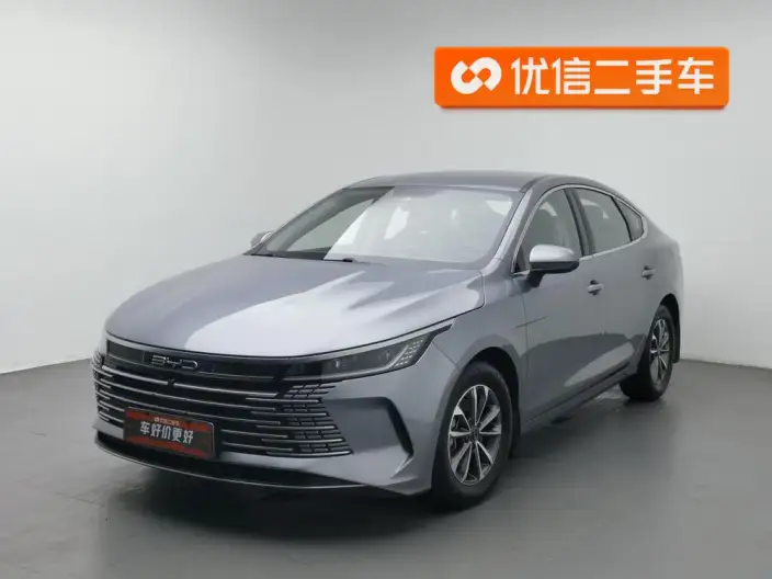 BYD Destroyer 05 2024 Model Honor Edition DM-i 55KM Luxury Model – фото 25