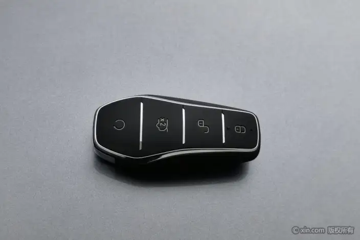 BYD Destroyer 05 2024 Model Honor Edition DM-i 55KM Luxury Model – фото 30