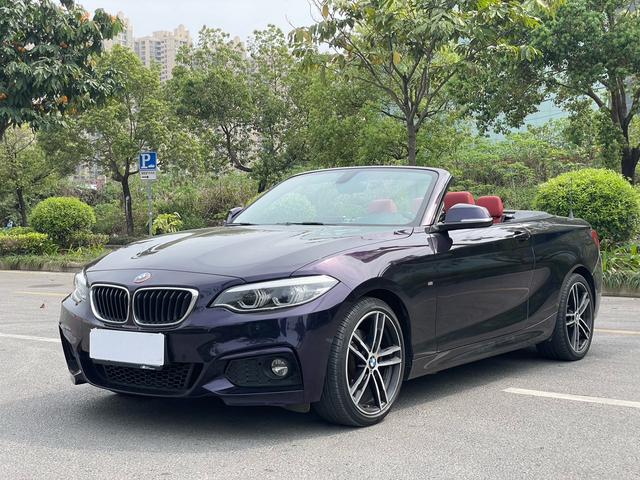 BMW 2 Series Import 2019 225i Convertible Premium M Sport Package – фото 1