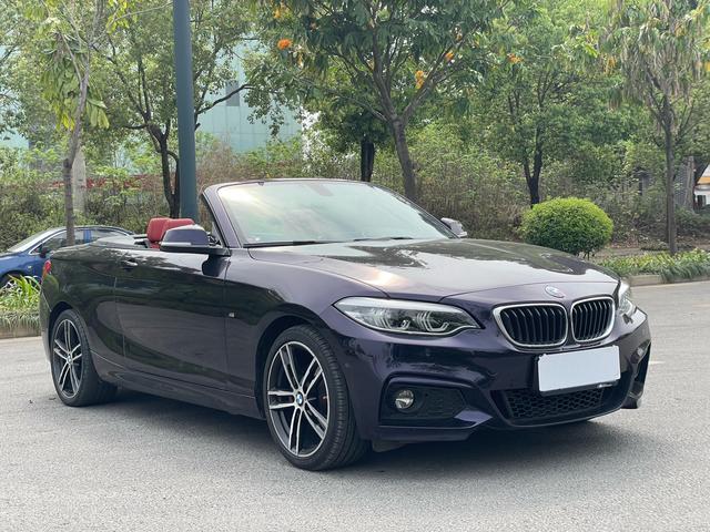 BMW 2 Series Import 2019 225i Convertible Premium M Sport Package – фото 3