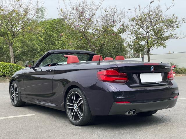 BMW 2 Series Import 2019 225i Convertible Premium M Sport Package – фото 6