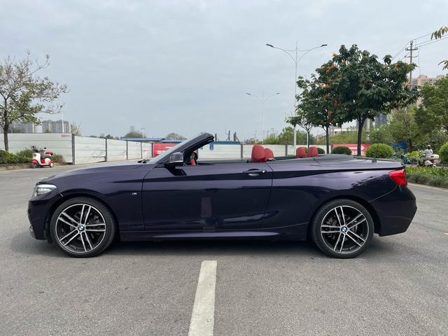 BMW 2 Series Import 2019 225i Convertible Premium M Sport Package – фото 7