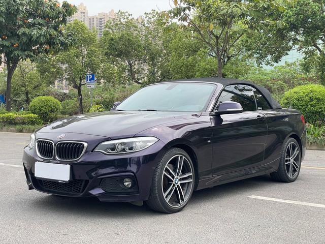 BMW 2 Series Import 2019 225i Convertible Premium M Sport Package – фото 15