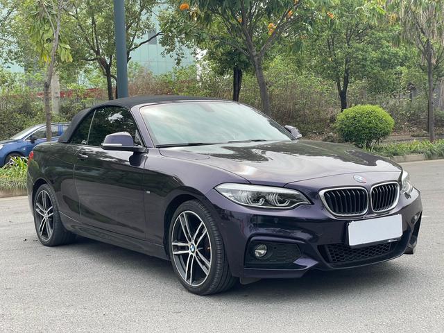 BMW 2 Series Import 2019 225i Convertible Premium M Sport Package – фото 16