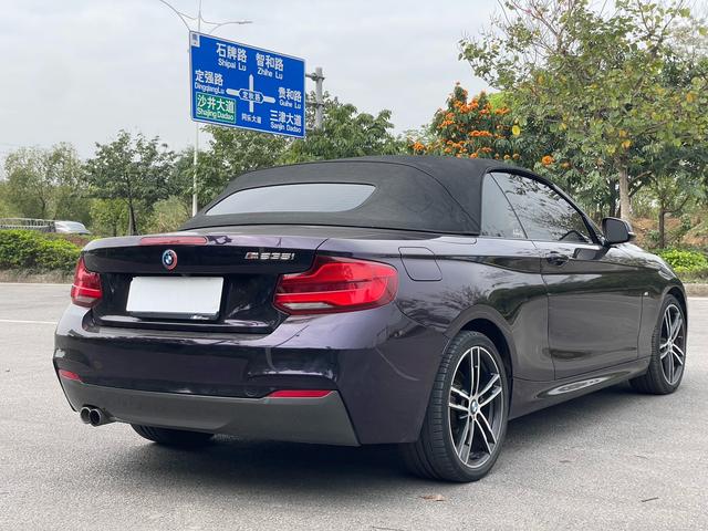 BMW 2 Series Import 2019 225i Convertible Premium M Sport Package – фото 17