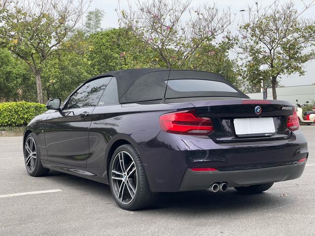 BMW 2 Series Import 2019 225i Convertible Premium M Sport Package – фото 19