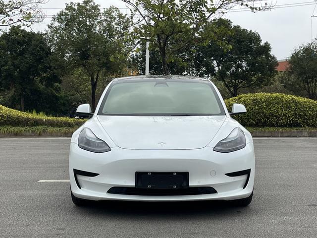Tesla Model 3 2022 RWD – фото 2