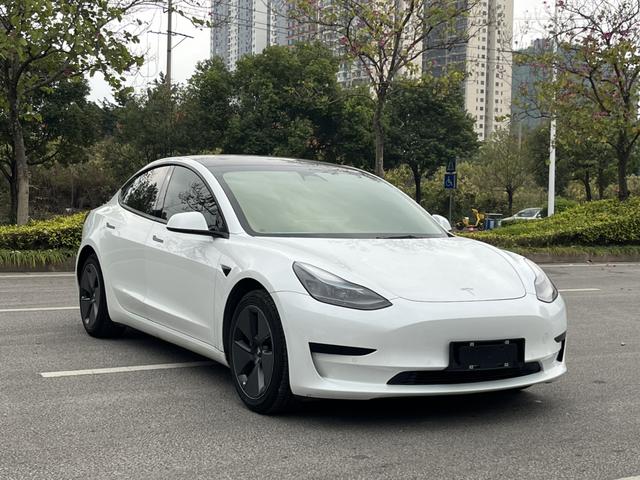 Tesla Model 3 2022 RWD – фото 3