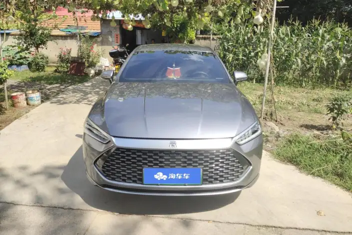 BYD Qin PLUS DM 2024 Model Honor Edition DM-i 55KM Leading Model – фото 2