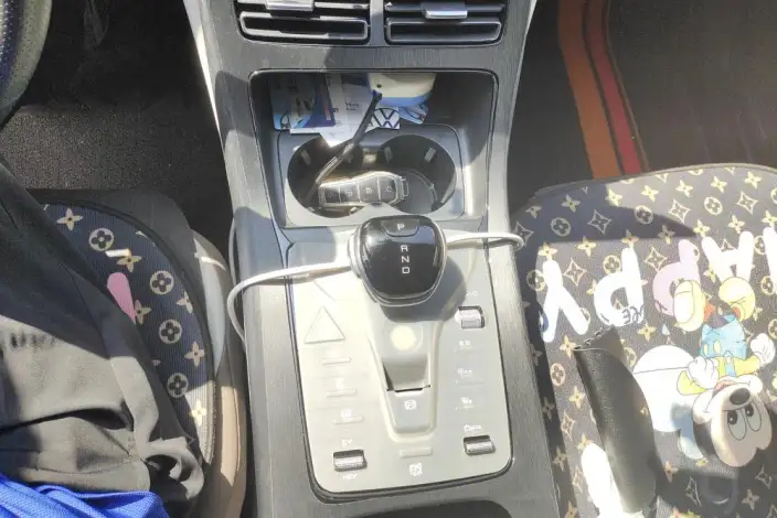 BYD Qin PLUS DM 2024 Model Honor Edition DM-i 55KM Leading Model – фото 15