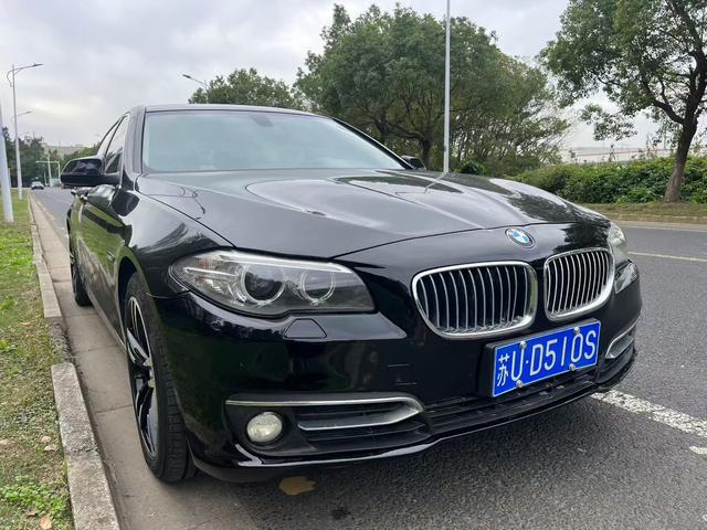 BMW 5 Series 2013 модификация 530Li Luxury – фото 2