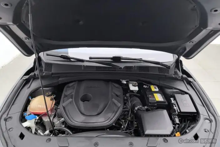Geely StarRui 2021 Model 2.0T Noble Model – фото 5