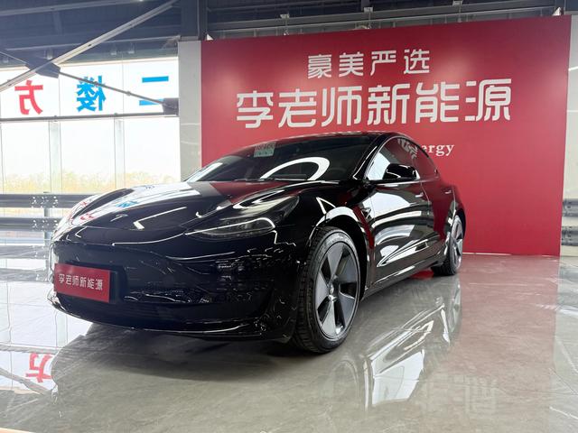 Tesla Model 3 2021 Standard Range RWD Upgrade 3D6 – фото 1