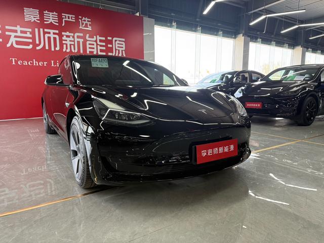 Tesla Model 3 2021 Standard Range RWD Upgrade 3D6 – фото 2