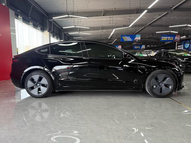 Tesla Model 3 2021 Standard Range RWD Upgrade 3D6 – фото 3