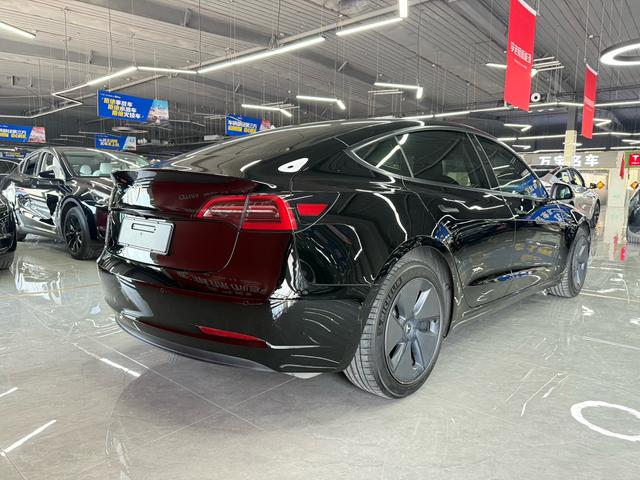 Tesla Model 3 2021 Standard Range RWD Upgrade 3D6 – фото 10