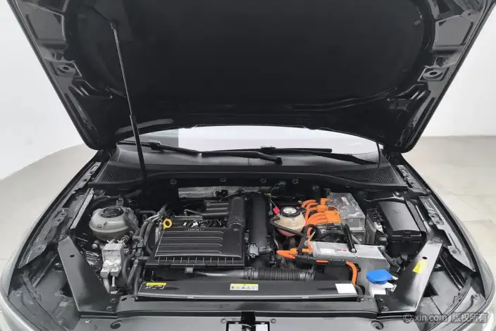 Volkswagen Magotan PHEV 2022 Model Luxury Model – фото 4