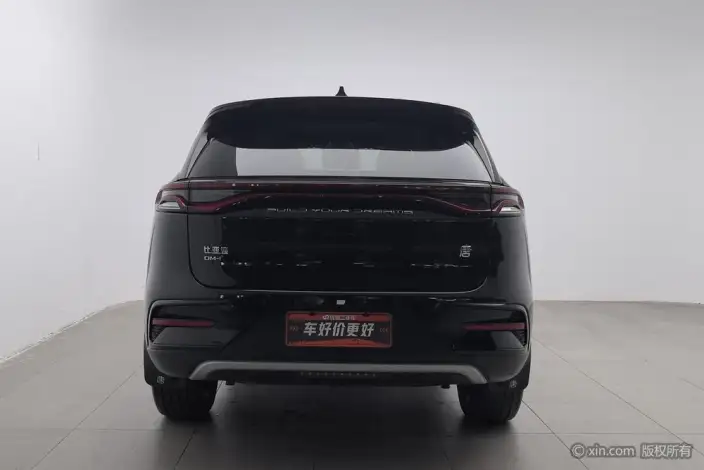 BYD Tang DM 2023 Model DM-i Champion Edition 112KM Zunrong Model – фото 2