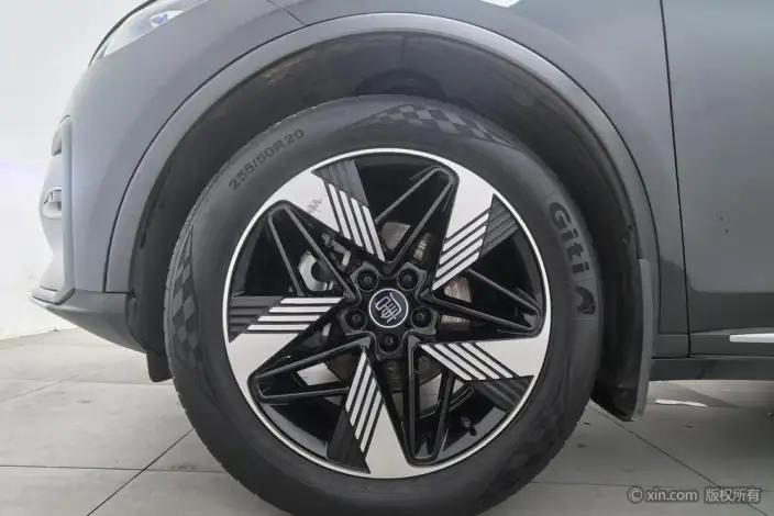 BYD Tang DM 2023 Model DM-i Champion Edition 112KM Zunrong Model – фото 8