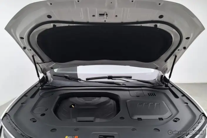 Lingyu 2021 Model EcoBoost 225 6 seat Zun Ling Model – фото 4