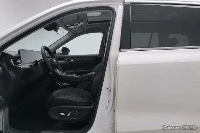 Lingyu 2021 Model EcoBoost 225 6 seat Zun Ling Model – фото 16
