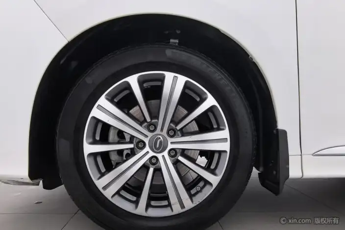 GAC Trumpchi M8 2020 Model Pilot Model 390T Premium Edition – фото 7