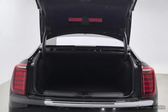 HONGQI H9 2022 Model 2.0T Smart Flag Enjoy Edition – фото 22