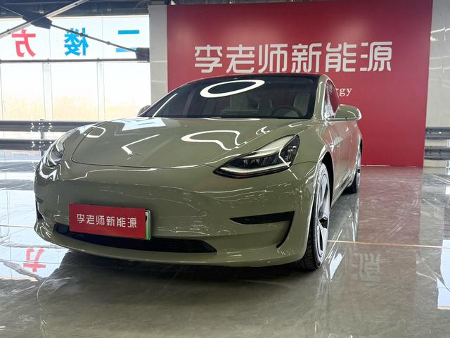 Tesla Model 3 2019 Standard Range RWD Upgrade – фото 1