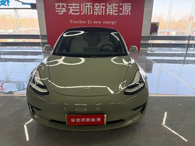 Tesla Model 3 2019 Standard Range RWD Upgrade – фото 2