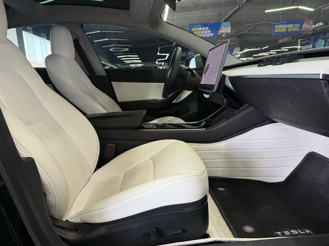 Tesla Model 3 2019 Standard Range RWD Upgrade – фото 8