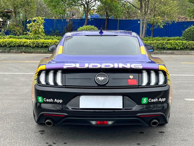 Mustang Модель 2021 года 2.3T EcoBoost – фото 5