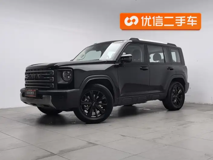 HAVAL Menglong PHEV 2024 Model 1.5T Hi4 145 Pro – фото 1