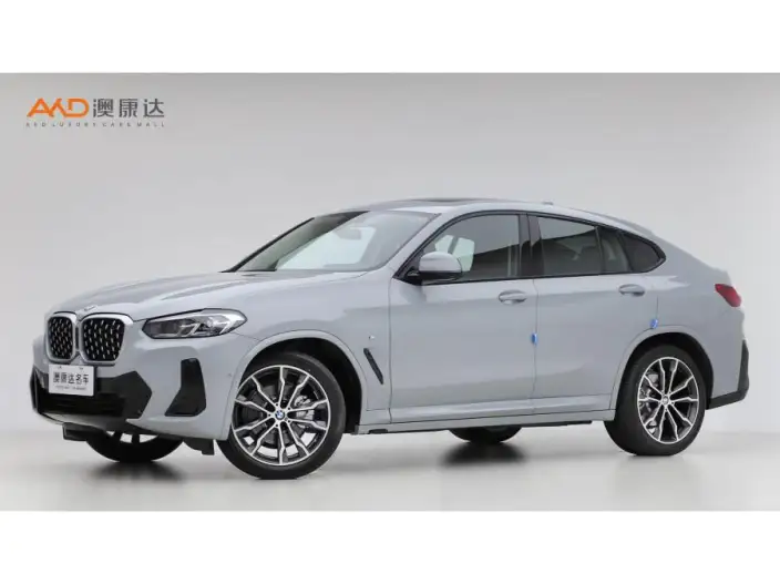 BMW X4 2022 Model xDrive 30i M Sports Set – фото 1