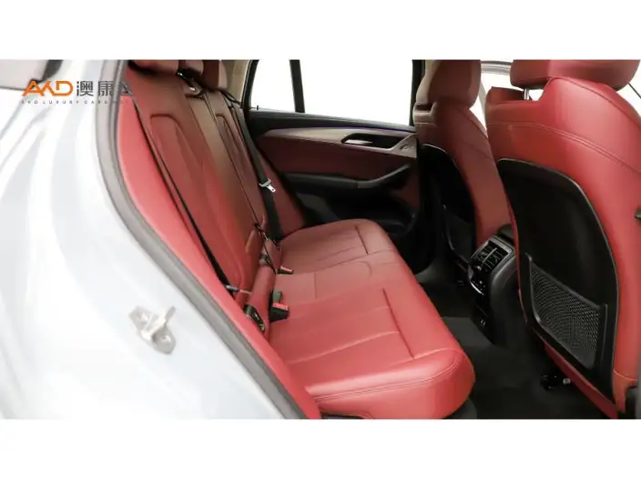 BMW X4 2022 Model xDrive 30i M Sports Set – фото 10