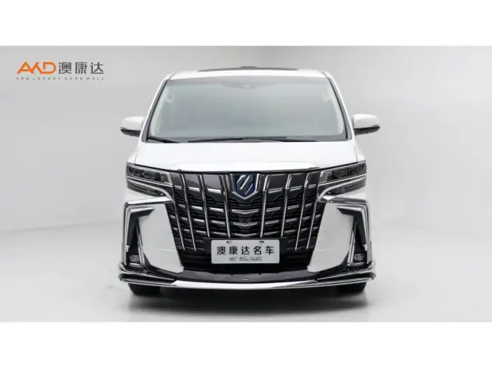 Elfa 2021 Model Hybrid 2.5L Deluxe Edition – фото 2