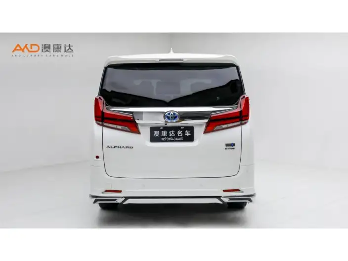 Elfa 2021 Model Hybrid 2.5L Deluxe Edition – фото 3