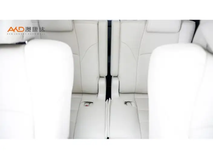 Elfa 2021 Model Hybrid 2.5L Deluxe Edition – фото 5