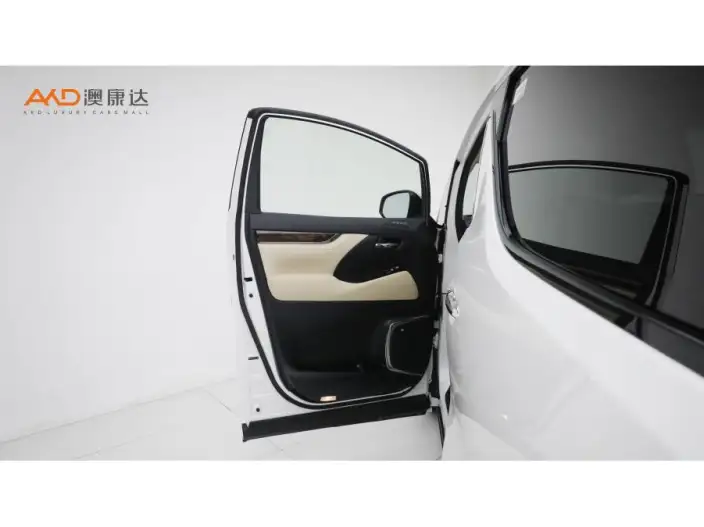 Elfa 2021 Model Hybrid 2.5L Deluxe Edition – фото 11