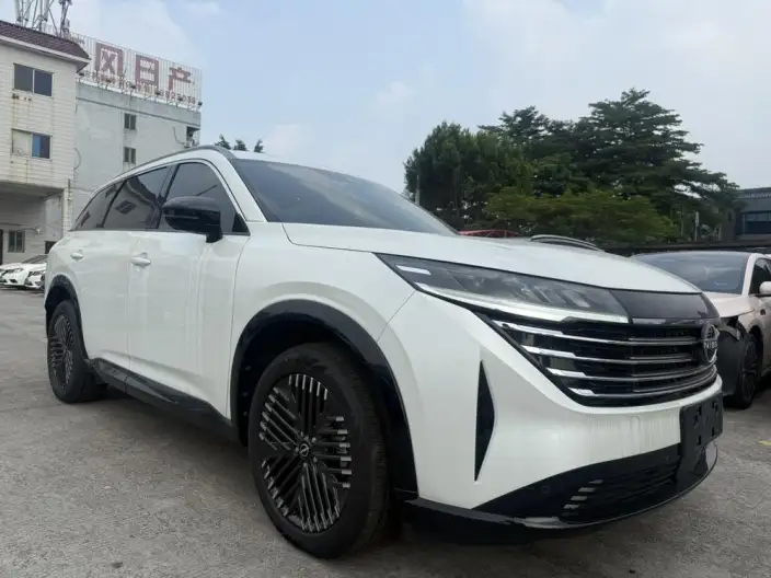 Nissan Pathfind 2024 Model 380VC-TURBO 4WD Zhizun Edition VI seat – фото 3
