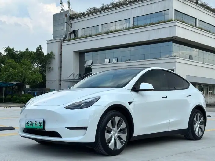 Model Y 2021 Model Standard Battery Life Rear-wheel drive version – фото 1