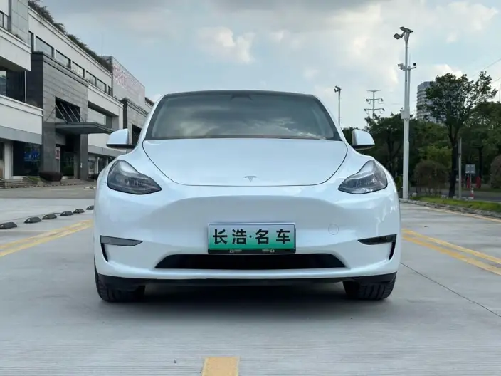 Model Y 2021 Model Standard Battery Life Rear-wheel drive version – фото 2